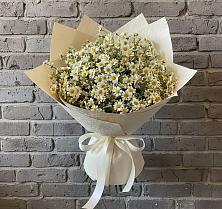 Букет цветов из:  Ромашки в Дубовской