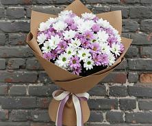 Букет цветов из:  Хризантемы #REPLACE_PRED# Дубовской