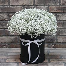 Цветочная композиция из Гипсофила в шляпной коробке #REPLACE_PRED# Дубовской